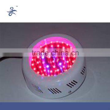 Blue/Red LED Light for Plant Grow Indoor Grow Lamps