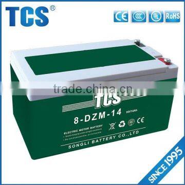 TCS hot sell 8-DZM-14 64v battery for electric bike battery