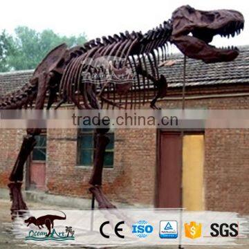 OA-DS-K16062401 High Quality Dinosaur Skeleton Model photo-3