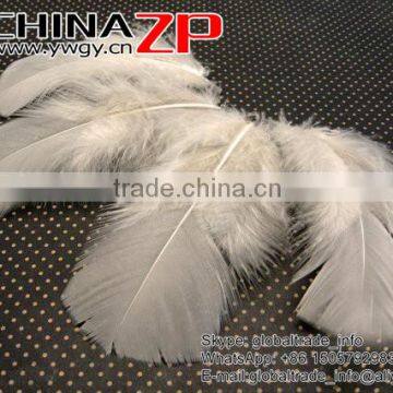 CHINAZP Good Quality Plumage Wholesale Dyed Ivory Turkey T-Base Body Feathers for Sale photo-2