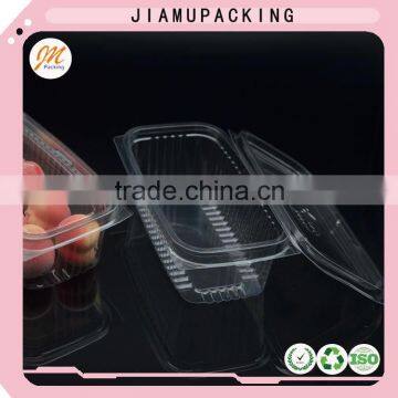 Made in China clear PET blister packaging