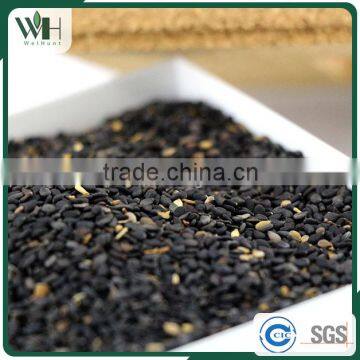 Paraguayan Sesame Seeds Manufacturers photo-6