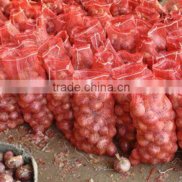 Fresh Phulkara Onion Crop from Pakistan