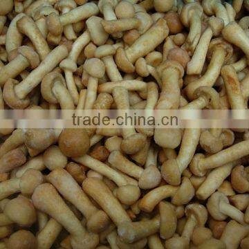 CHINA frozen nameko