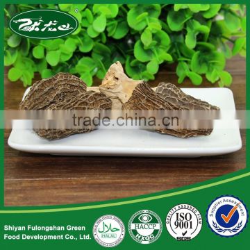 Good Quality 100% Wild Natural Dried Morchella conica