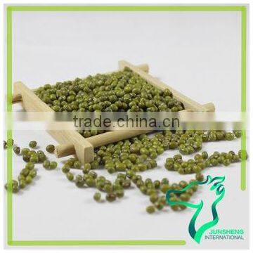 Myanmar Dried Mung Bean Best Selling photo-4