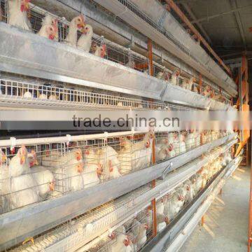 supply poultry equipment layers cage