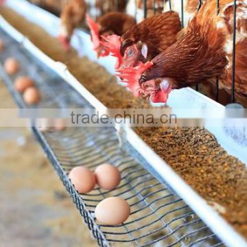 Folding Galvanized Egg Chicken Cage Made in China