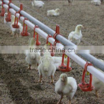 automatic poultry farm