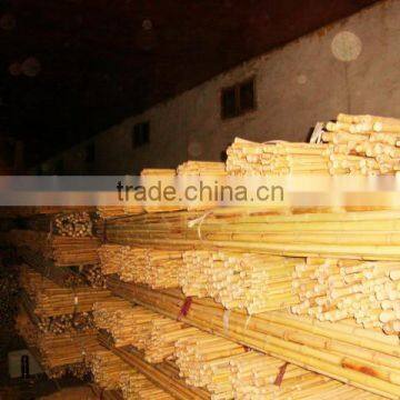 Bamboo Poles/Bamboo Canes/Tonkin Bamboo Poles