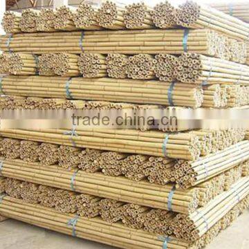 WY-207 Natural dry straight moso bamboo poles bamboo canes factory sale