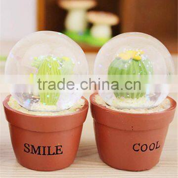 Cute Resin Cactus Custom Mini Snow Globe photo-2