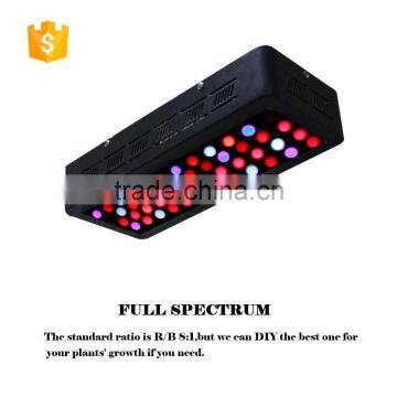 full spectrum hydroponic greenhouse LED grow light