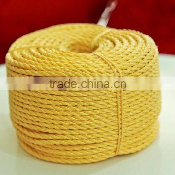 Polypropylene Twisted Rope photo-4
