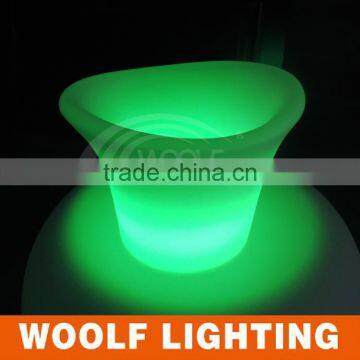 Customized Bottle Ice Buckets photo-5