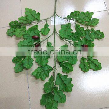 CHY070916 High initation oak tree leave outdoor