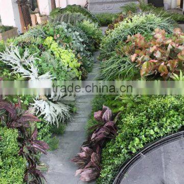 High Technique Fake Grass Wall Evergreen Artificial Grass Wall photo-3