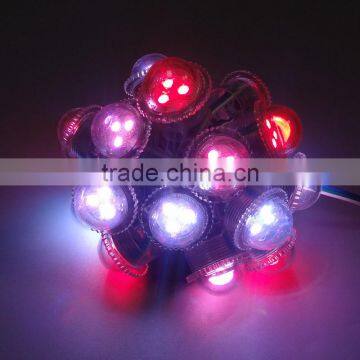 5V Rgb 0.3W Programmable Waterproo LED Magic Pixel Module Lights With 3 Chips photo-3