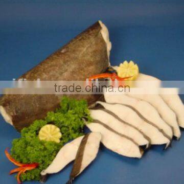 Halibut photo-2