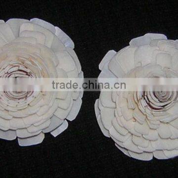 PROTE Asola Flower photo-3