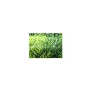 Green Artificial Football Turf / Artificial Indoor Grass 50mm Spine Yarn Football