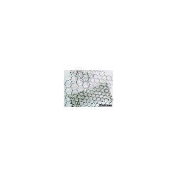 hexagonal wire mesh