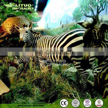 African Animal Themes for Indoor Playground