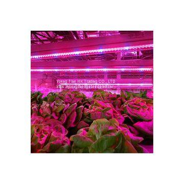 Full Spectrum T8 T5 Plant LED Grow Light Tube