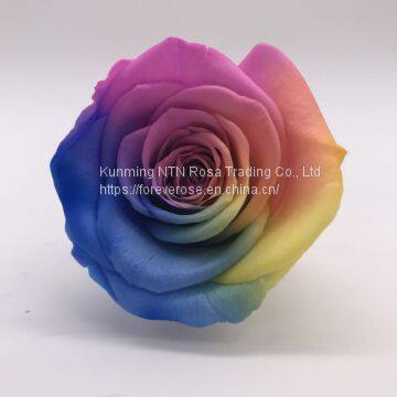 Preserved Rose Preserved Flowers Dried Flowers Birthday Valentine Party Wedding photo-4