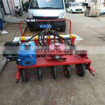 Best Selling Sweet Potato/Garlic/Onion/Peanut Planting Machine/Potato Seeding Machine