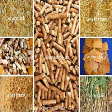 Dzl Biomass Pellets Coconut Shell Firewood Fired Steam Boiler Price for Oil Processing Plant photo-5