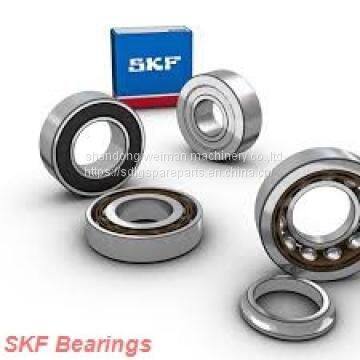 SKF Bearings