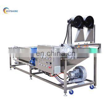 Fruits and Vegetable Processing Equipment Orange Fruit Washer Fish Washing Cleaning Machine Drying Unit for Fruits photo-4