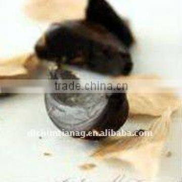 Black Garlic