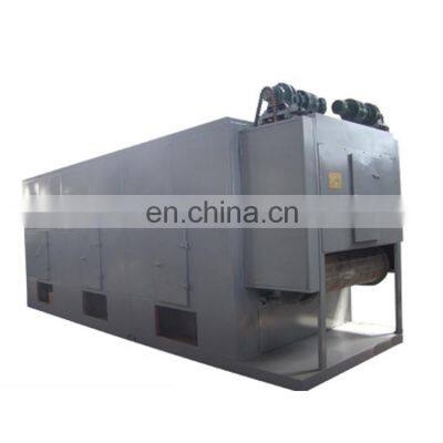 Best price PLC control DW-1.2-8 Single-layer Mesh-Beit Dryer for Yam