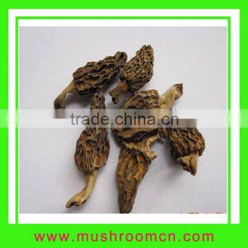 Dried Morchella