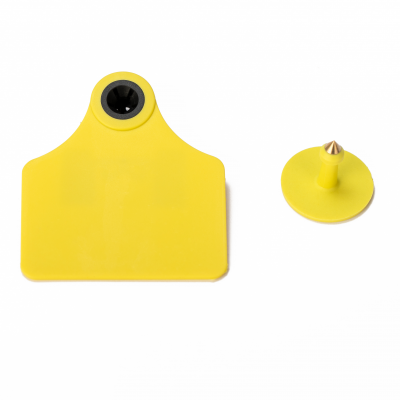 Paddle RFID FDX-B Available Ear Tag for Cattle Middle Size for Livestock Tracking photo-3