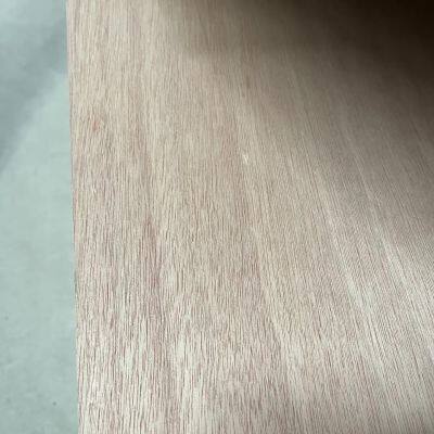 12mm Full Eucalyptus Continuous Core Super Flat Reinforced Furniture Plywood