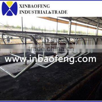 galvanized cattle panels cow free stall cattle cubicles