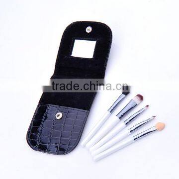 Professional promotional brush