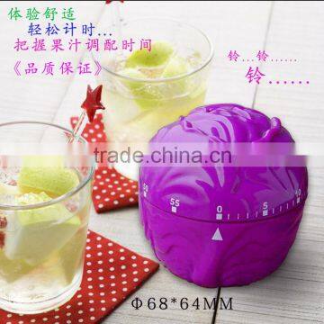Vegetable kitchen timer, 60 minute mechanical timer,Small countdown timer
