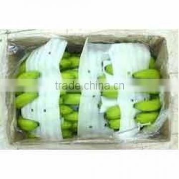 GOOD QUALITY PREMIUM FRESH GREEN BANANA