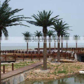 Fake Canary Date Palm Tree