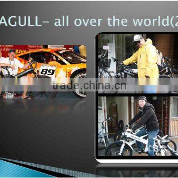 Seagull all over the world pedelec high quality manufacturer 250w e bike