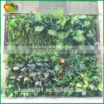 2016 new design vertical green wall artificial green wall for home decorative                        
                                                Quality Choice