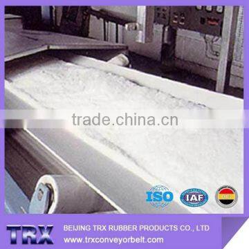 RMA I & II Standard Chemical Resistant Conveyor Belting