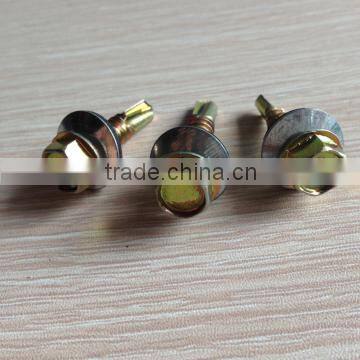 DIN7504 Carbon Steel Drilling Screw Zinc Plated photo-6
