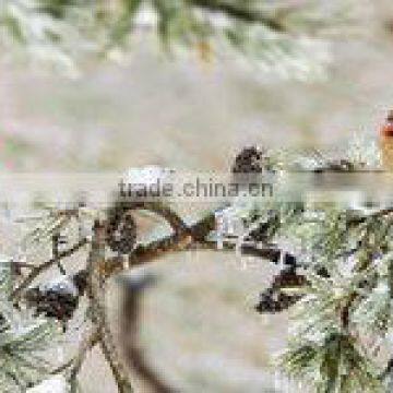 Cardinals In The Snow Photo License Plate