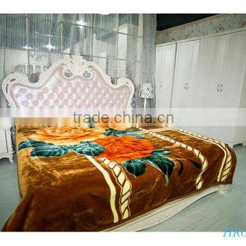 Hot Selling New Design 100 % Polyester Korean Style2Ply Mink Blanket