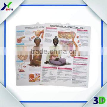 Custom Embossed Pvc 3d Medical Poster/pregnancy Chart photo-2